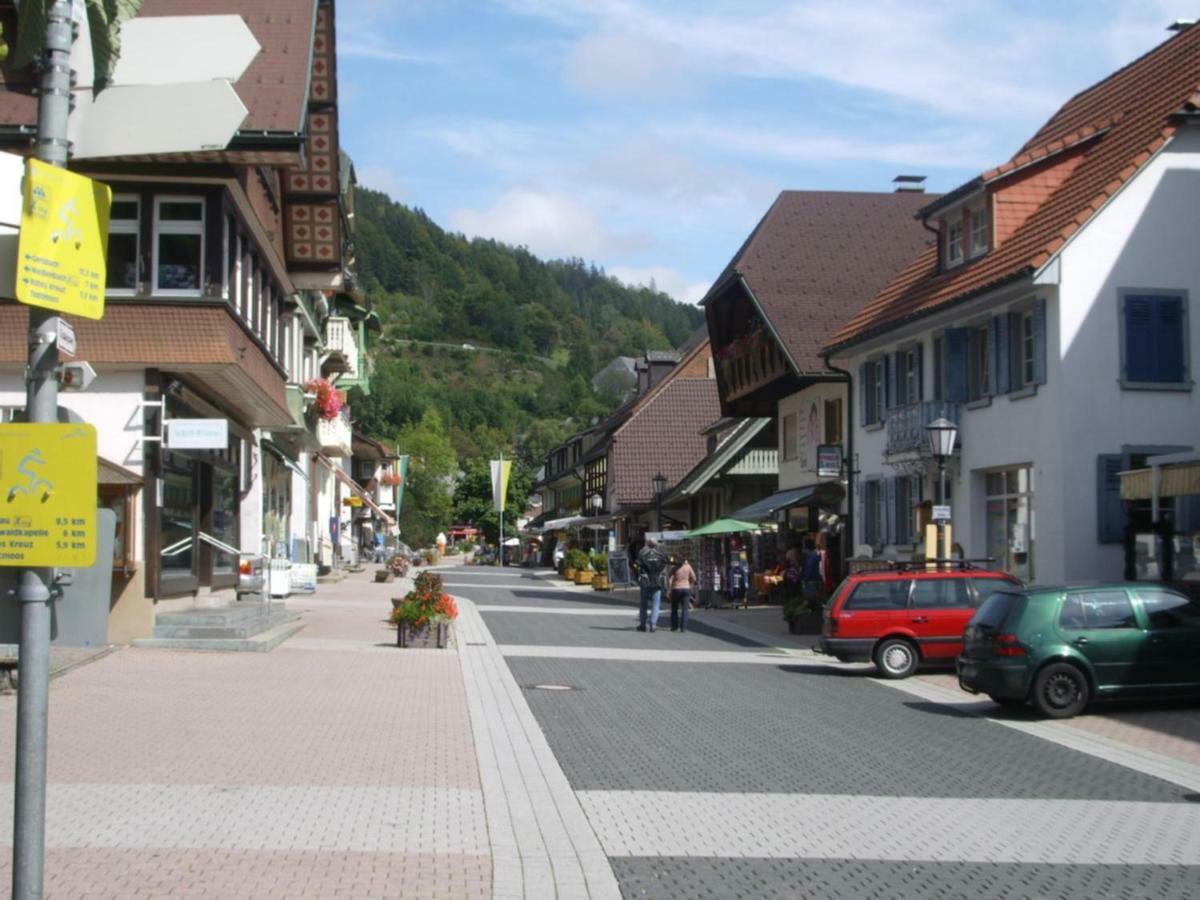 Haus Dachsberg Todtmoos Apartment Bagian luar foto